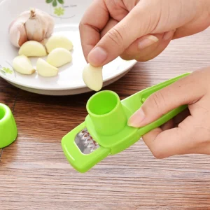 Mini Garlic Chopper Manual