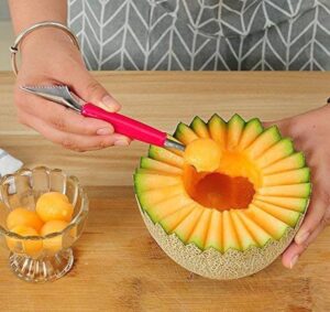 Fruit Carving Knife